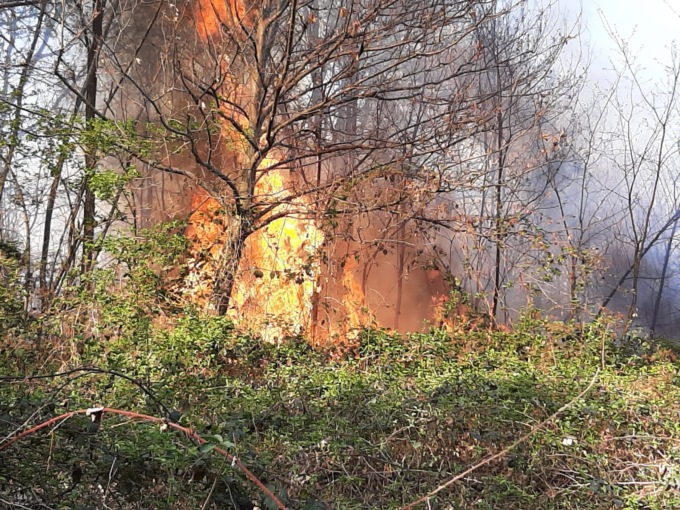Vasti incendi nel borgomanerese: vigili del fuoco, 78 Aib e 18 automezzi in campo