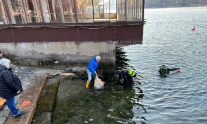 Sette quintali di bottiglie vuote recuperate dal lago d’Orta