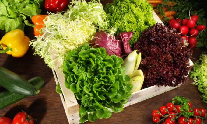 Facciamo l’orto in casa: i semi di insalata in regalo con il tuo settimanale