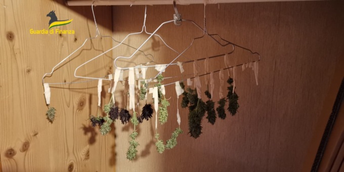 Cannobio scoperta coltivazione domestica di marijuana: un arresto