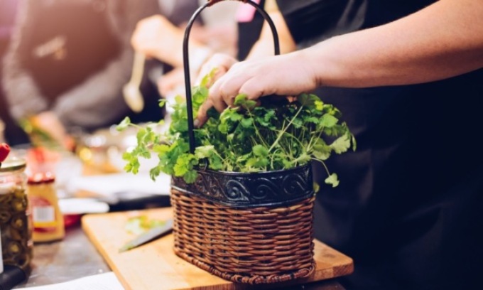 Facciamo l’orto in casa: in regalo il coriandolo