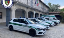 Calci e pugni agli agenti di polizia locale: arrestato un uomo a Trecate