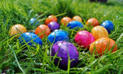 Cosa fare a Novara e Provincia: gli eventi del weekend di Pasqua