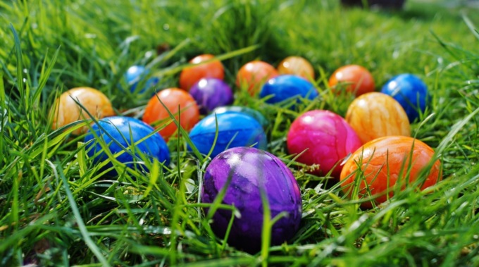 Cosa fare a Novara e Provincia: gli eventi del weekend di Pasqua