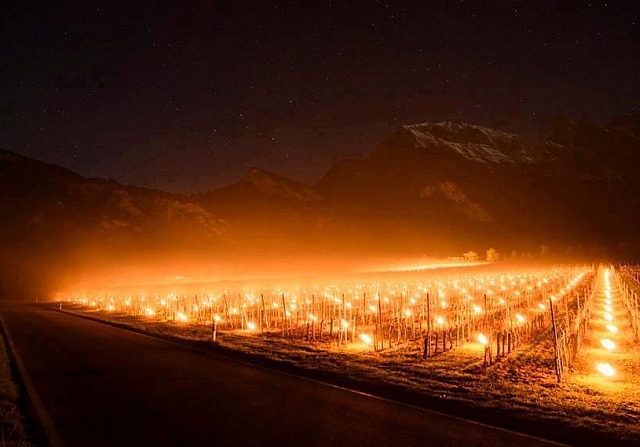 Dopo la grandine timore per le gelate