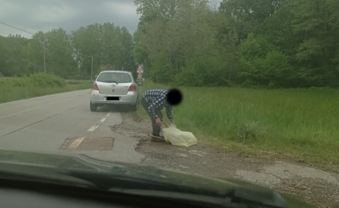 Incredibile a Divignano: daino ferito viene rubato davanti agli occhi di chi lo stava soccorrendo