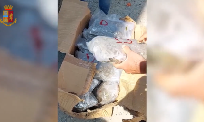 Dalla Francia verso Torino con 70 chili di droga nascosta tra le arance: due autisti arrestati
