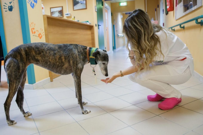 All’hospice Casa Tempia di Gattinara gli animali domestici sono i benvenuti