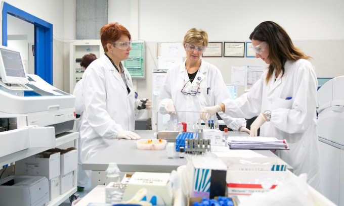 Studio dell’Università di Torino sul linfoma B del cane apre nuove possibilità di cura anche per l’uomo