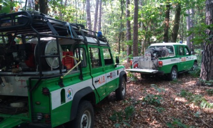 Vasto incendio a Oleggio Castello: perimetro circoscritto ma si teme la ripartenza del rogo