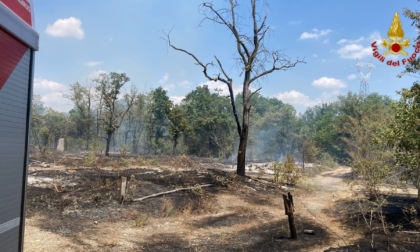 Incendio a Trecate nel Parco del Ticino