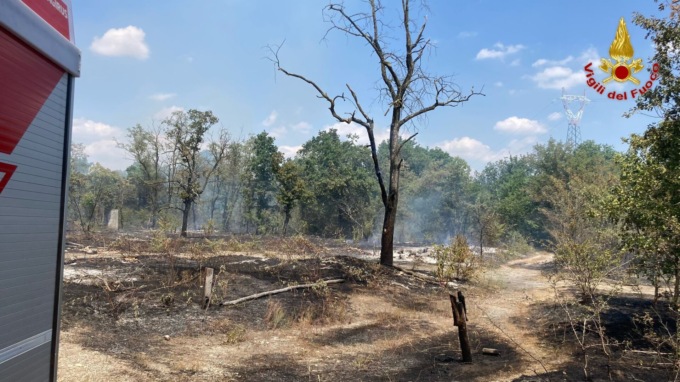 Incendio a Trecate nel Parco del Ticino