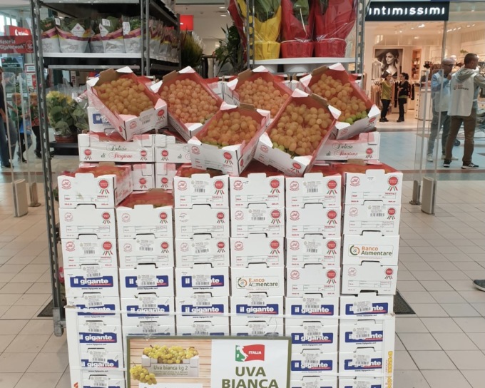 Il Gigante Supermercati a sostegno del Banco Alimentare