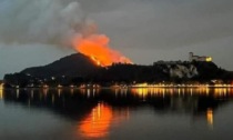 Arona: contributo per la riforestare la collina tra Angera e Ranco