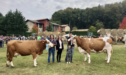 Con la fiera zootecnica di Armeno domenica 16 ottobre si è rinnovata la tradizione contadina del territorio