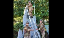 L’aquila degli Alpini torna sul monumento di Arona da cui era stata strappata