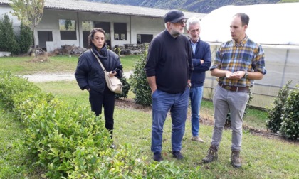 A Paolo Zacchera il premio nazionale Bandiera Verde Agricoltura 2022