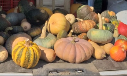 Dormelletto si trasforma nel paese degli gnomi e delle zucche