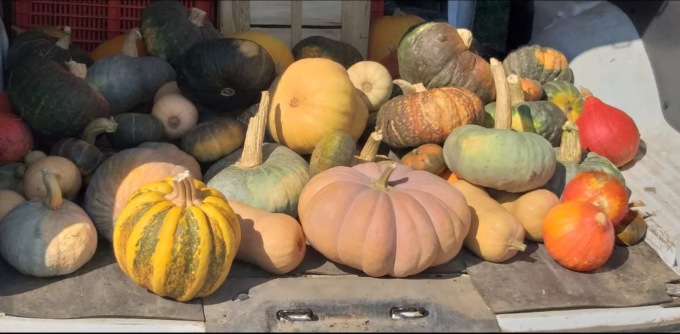 Dormelletto si trasforma nel paese degli gnomi e delle zucche