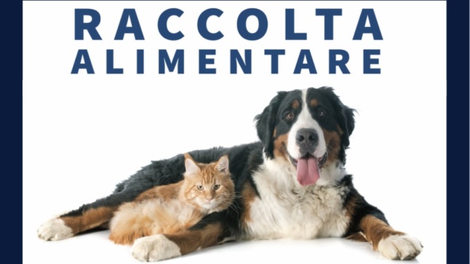 Raccolta alimentare per cani e gatti con Balzoo sabato