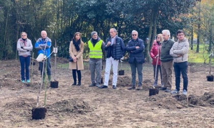 Trecate 15 nuovi alberi piantumati nel "Giardino dei ciliegi"