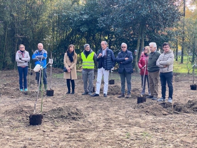 Trecate 15 nuovi alberi piantumati nel “Giardino dei ciliegi”