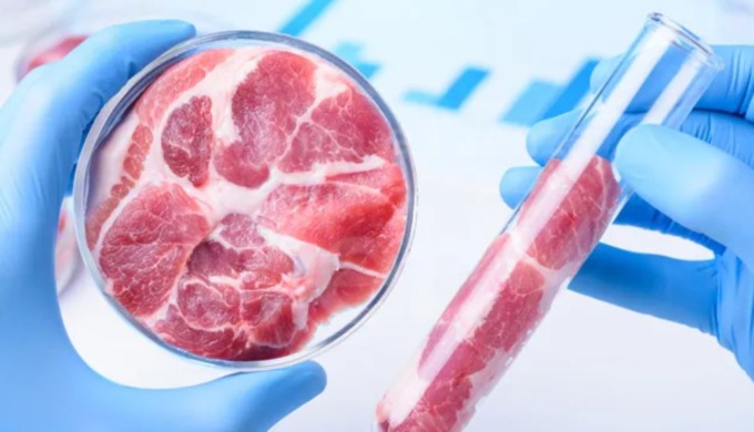 Cibi sintetici: domani se ne parla alla Camera, Coldiretti nel fronte del “no”