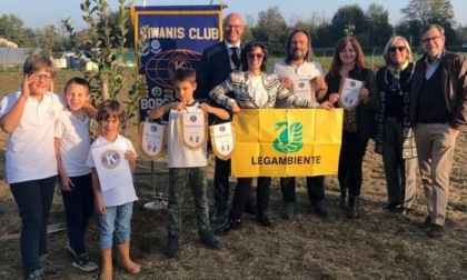 Borgomanero, piantati 20 nuovi alberi al Borgo Verde