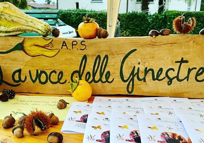 Asilo nel Bosco Montrigiasco: gravissime carenze igienico sanitarie e strutturali