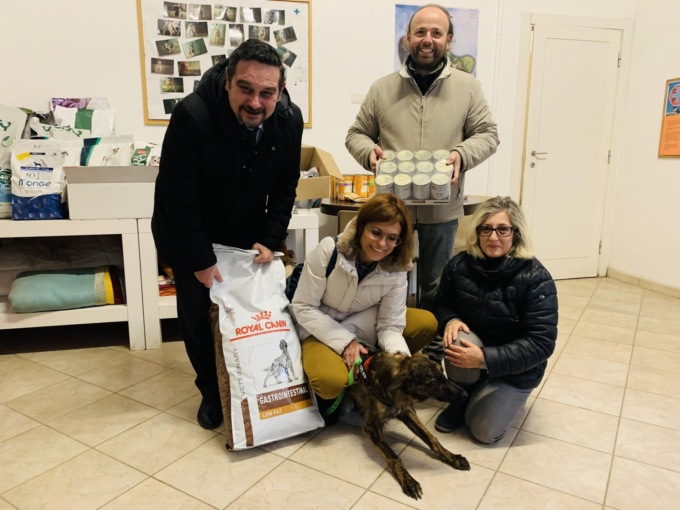 La cagnolina Zendaya cerca casa: si trova al canile di Novara