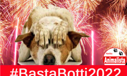Partito animalista: in corso la campagna "Basta Botti 2022"