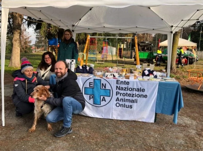 Canile di Borgo Ticino: in un anno 24 cani adottati