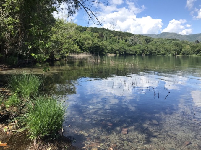Nell’ultimo decennio sul lago d’Orta perso il 40% dei canneti