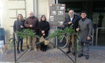 “A spasso per Trecate”: per conoscere la città