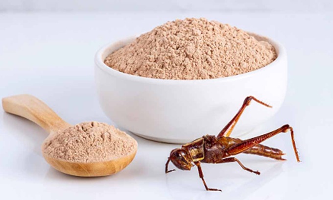 Coldiretti Piemonte: “Rilanciare il consumo del pane anziché la farina di grillo”