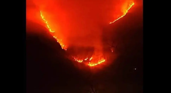 Incredibile a Domodossola: usa braciere per il pranzo e incenerisce un bosco