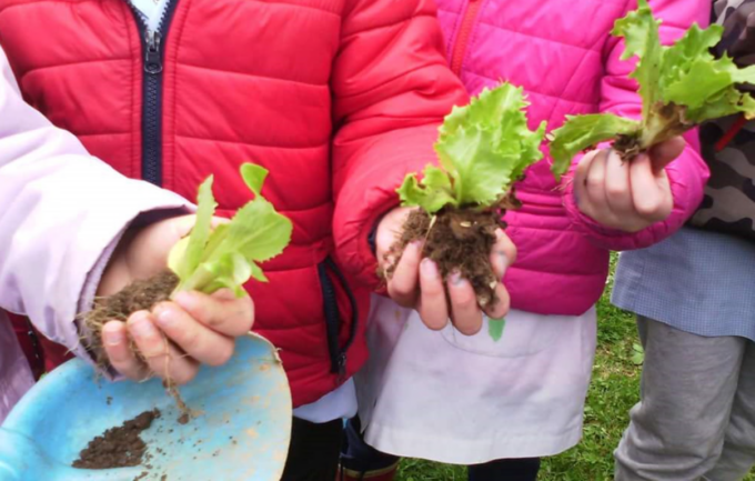 Orto a scuola: c’è ancora tempo per aderire all’iniziativa del Corriere di Novara