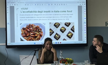 All’Alberghiero Ravizza un seminario su farina di grilli e insetti edibili