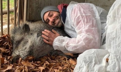 Il sindaco di Castelletto Stilo si oppone all'uccisione di Tina