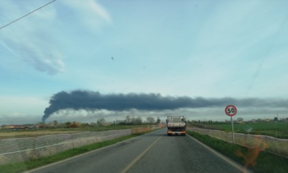 Codacons sull'incendio a San Pietro Mosezzo: "Esposto per danno ambientale"