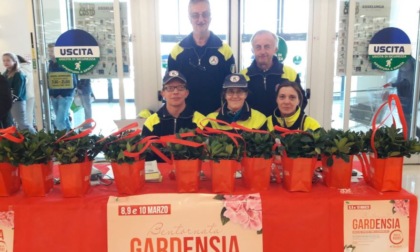 Gardenie dell'Aism: oggi banchetto della Protezione civile all'Esselunga di Castelletto