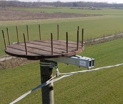 Oleggio è pronta ad accogliere le cicogne