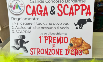 Il provocatorio "concorso" per dichiarare guerra alle deiezioni canine