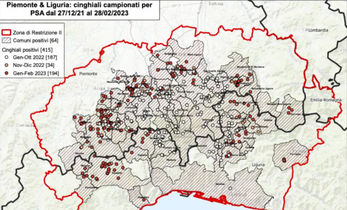 Peste suina: dieci nuovi casi in Piemonte