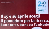 "Il pomodoro per la ricerca": nel weekend a Novara con Fondazione Veronesi