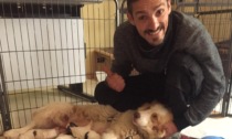 Amelie e i suoi 8 cuccioli sono vivi grazie a un salvataggio straordinario