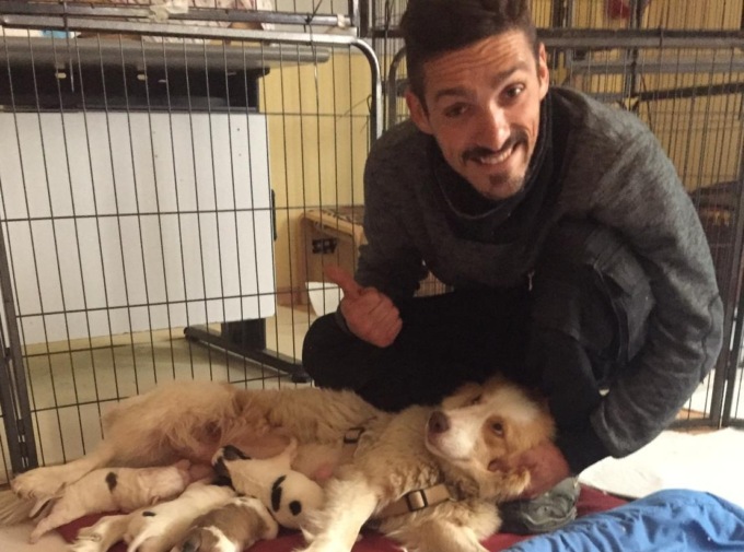 Amelie e i suoi 8 cuccioli sono vivi grazie a un salvataggio straordinario