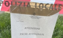 Novara: attenzione alle esche avvelenate