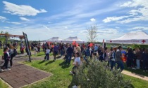 Oleggio ha inaugurato il "bosco della memoria" per Crystal e le altre vittime del ponte Morandi