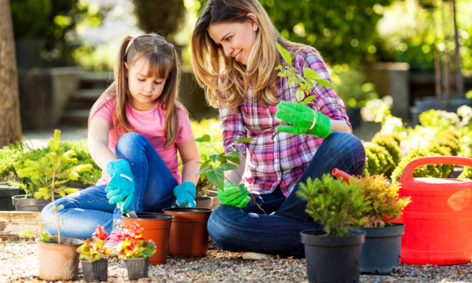 Ultimi semi a sorpresa in regalo, almeno per quest’anno…